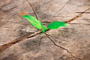 Dynamic Life Coaching Practice